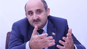 deputat-dovlet-rusumlarina-yeniden-baxmaq-lazimdir